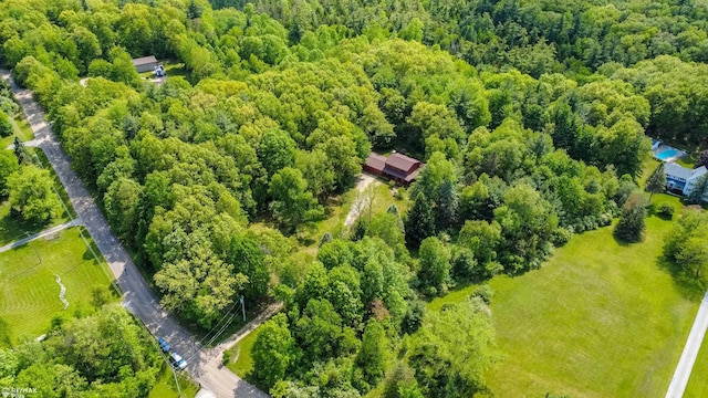 3168 Farmbrook Ln, Metamora, MI 48455 - photo 52