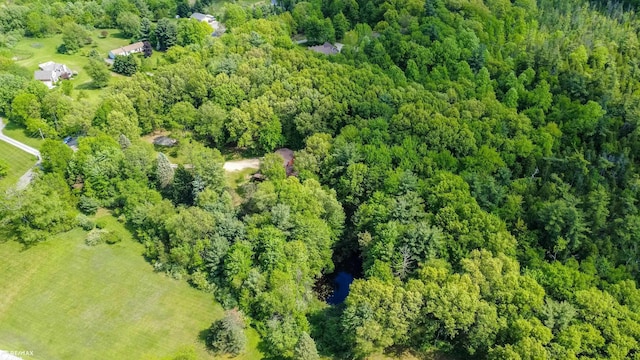 3168 Farmbrook Ln, Metamora, MI 48455 - photo 55