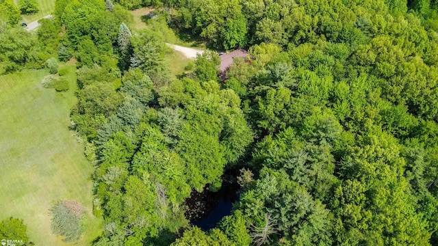 3168 Farmbrook Ln, Metamora, MI 48455 - photo 56