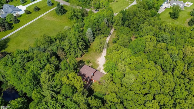 3168 Farmbrook Ln, Metamora, MI 48455 - photo 59