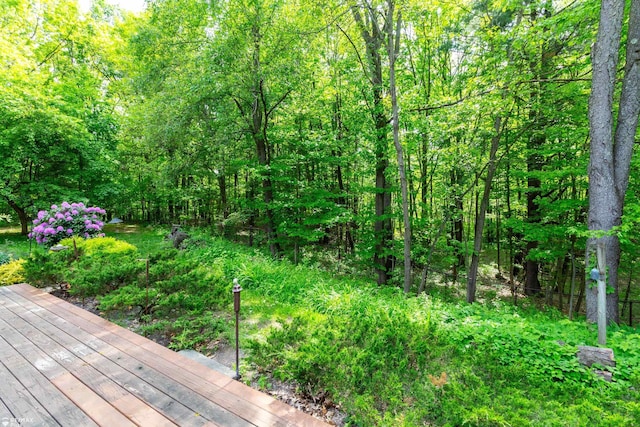 3168 Farmbrook Ln, Metamora, MI 48455 - photo 43