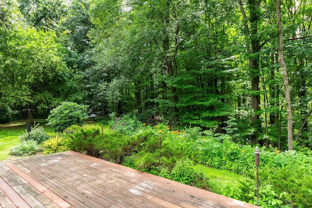 3168 Farmbrook Ln, Metamora, MI 48455 - photo 41