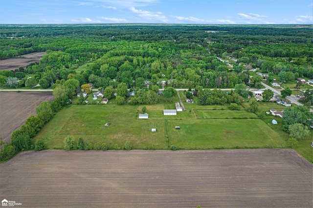10207 Frances Rd, Flushing, MI 48433 - bird's eye view of a forest