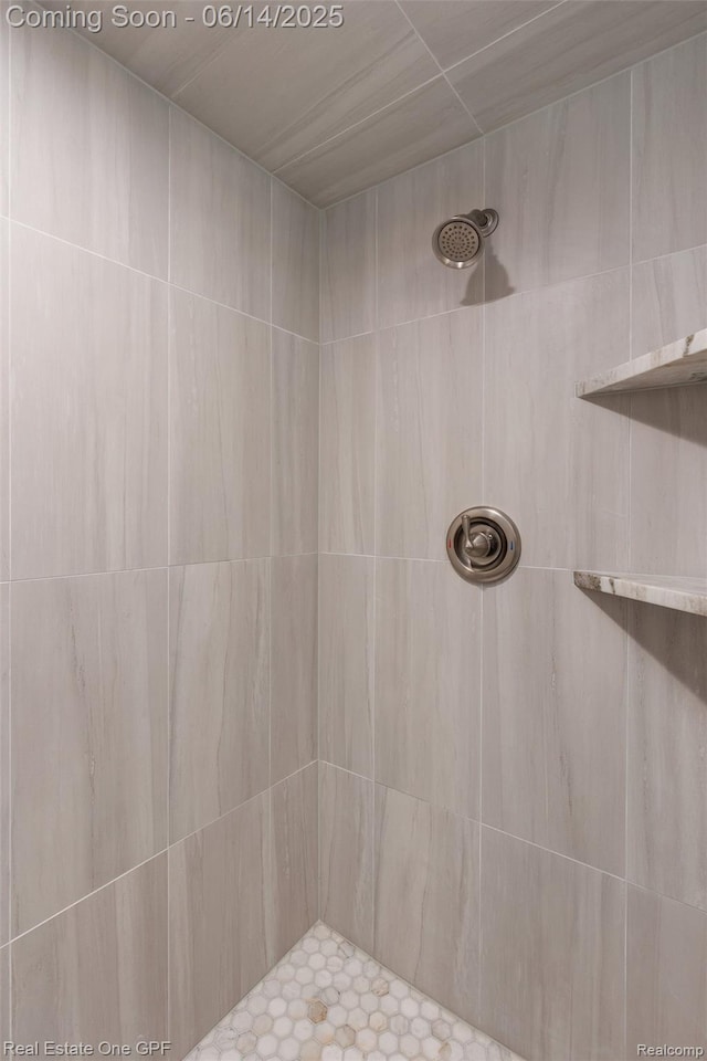 52657 Creekside Dr, Chesterfield, MI 48047 - bathroom featuring tiled shower