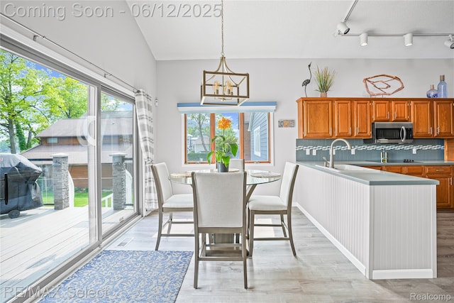 7457 Haviland Beach Dr, Argentine, MI 48451 - dining space with light wood-style flooring, a chandelier, and rail lighting
