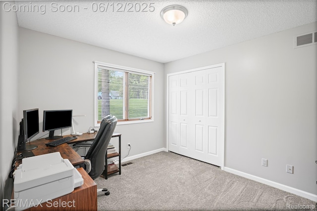 7457 Haviland Beach Dr, Argentine, MI 48451 - home office featuring carpet floors, a textured ceiling, and baseboards