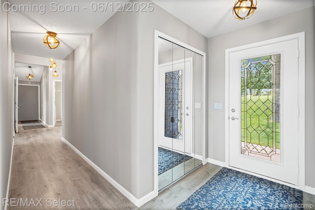 7457 Haviland Beach Dr, Argentine, MI 48451 - entrance foyer featuring wood finished floors, a textured ceiling, and baseboards