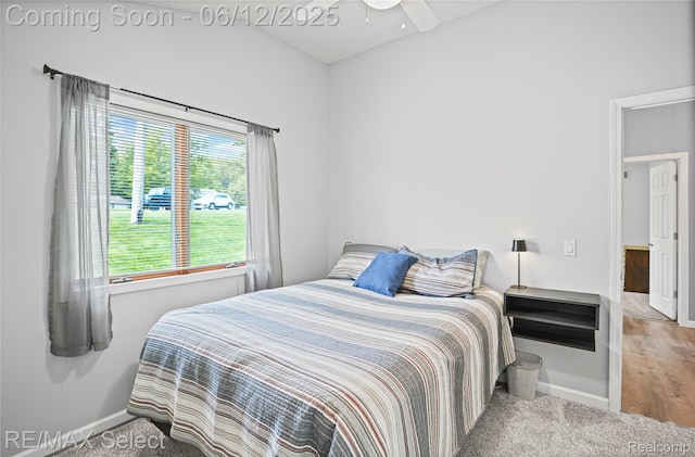 7457 Haviland Beach Dr, Argentine, MI 48451 - bedroom featuring baseboards and carpet