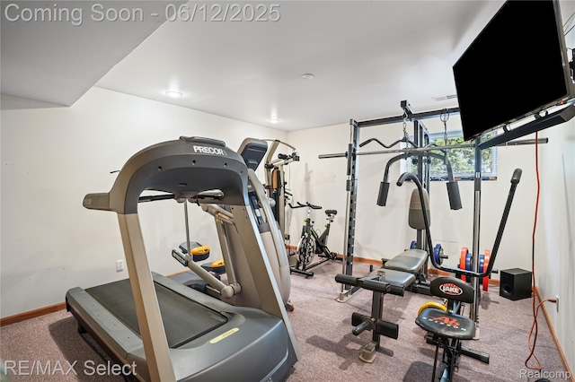 7457 Haviland Beach Dr, Argentine, MI 48451 - exercise room with baseboards and carpet floors