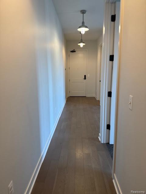 804 N Main St Unit 2A, Rochester, MI 48307 - hallway with dark wood finished floors and baseboards