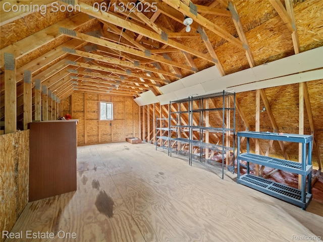 8907 Mccoll Side Rd, Brighton, MI 48116 - view of attic