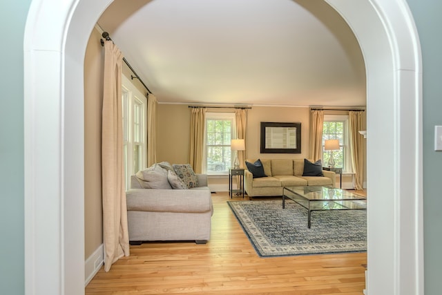 2430 Geddes Ave, Ann Arbor, MI 48104 - living area featuring arched walkways, light wood-type flooring, and plenty of natural light