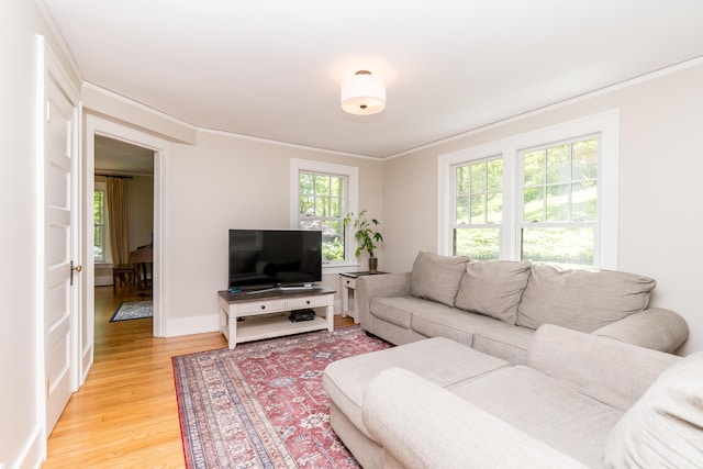 2430 Geddes Ave, Ann Arbor, MI 48104 - living area with light wood-style floors, ornamental molding, and baseboards