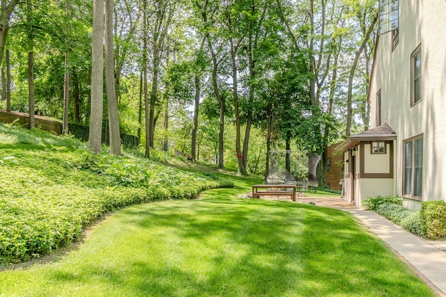 2430 Geddes Ave, Ann Arbor, MI 48104 - view of green lawn