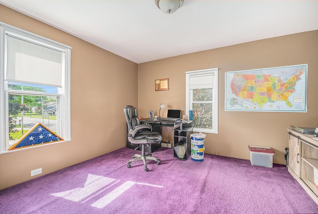319 Washington St, Otsego, MI 49078 - office area featuring healthy amount of natural light and carpet flooring