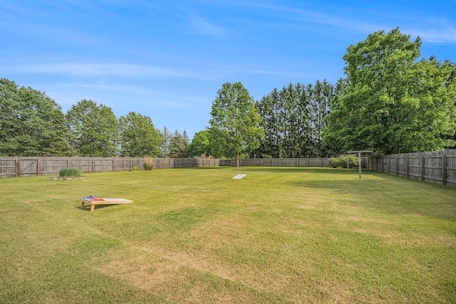 319 Washington St, Otsego, MI 49078 - view of yard