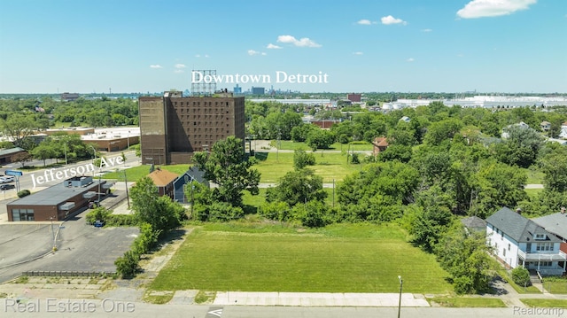 1075 Coplin St, Detroit, MI 48215