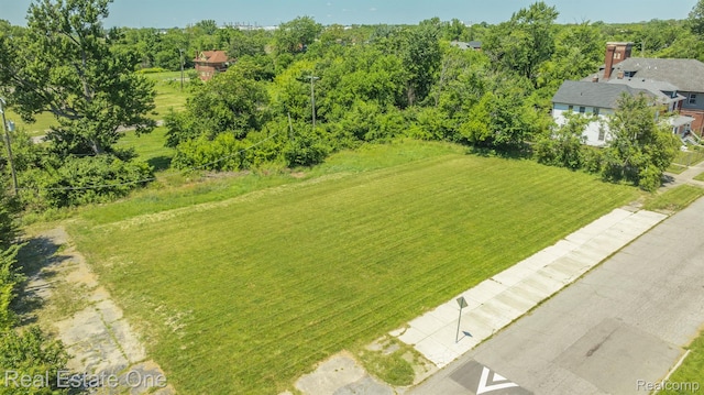 1075 Coplin St, Detroit, MI 48215