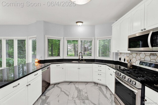 50565 Otter Creek Dr, Shelby Twp, MI 48317 - kitchen featuring stainless steel appliances, a sink, healthy amount of natural light, and light marble finish flooring