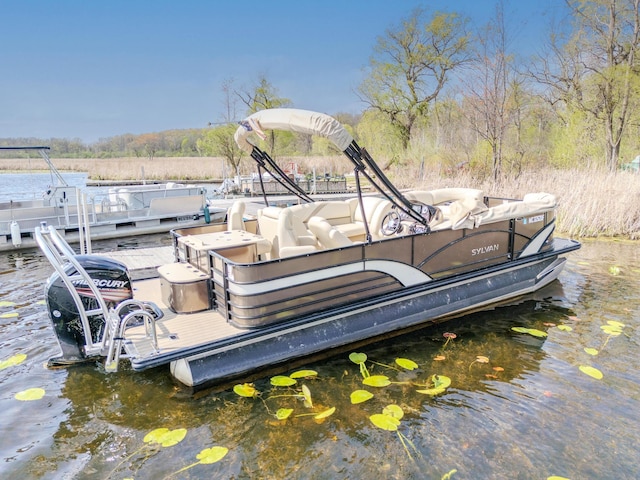 175 Templar Ave, Pinckney, MI 48169 - view of dock area