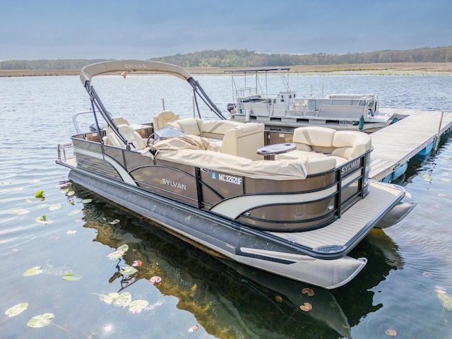 175 Templar Ave, Pinckney, MI 48169 - dock with a water view
