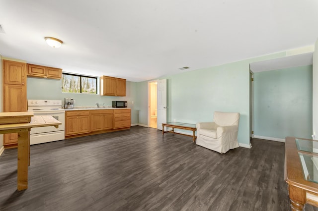 175 Templar Ave, Pinckney, MI 48169 - kitchen with white electric range, black microwave, light countertops, dark wood-style floors, and baseboards