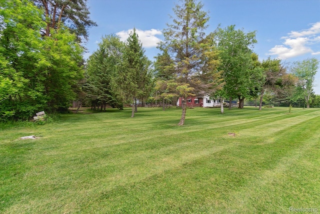 1250 W Thompson Rd, Fenton, MI 48430 - view of grassy yard