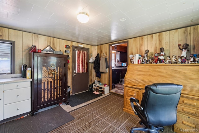 1250 W Thompson Rd, Fenton, MI 48430 - home office featuring wooden walls, dark carpet, and a sink
