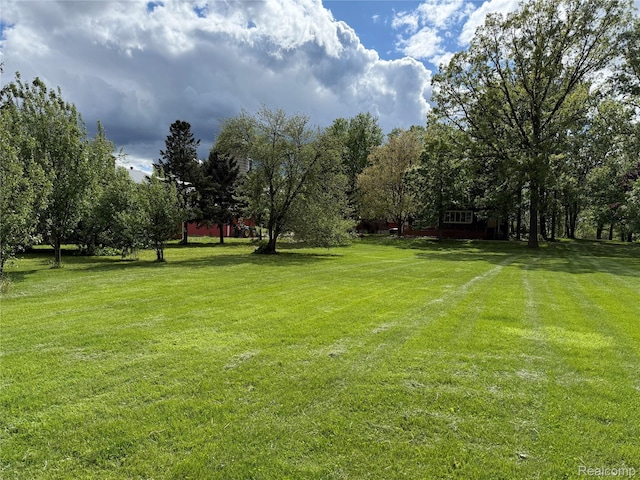 4131 Wellman Line Rd, Brown City, MI 48416 - view of green lawn featuring view of wooded area