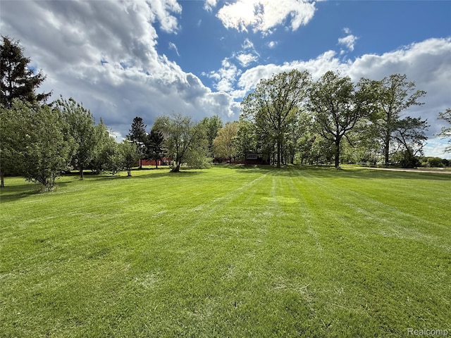 4131 Wellman Line Rd, Brown City, MI 48416 - view of grassy yard