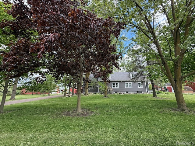 4131 Wellman Line Rd, Brown City, MI 48416 - view of front of home featuring a front yard