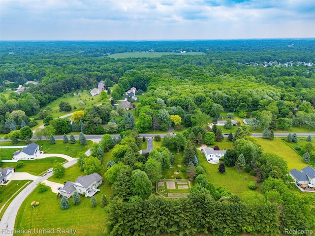 3875 Zimmer Rd, Williamston, MI 48895 - drone / aerial view of a forest