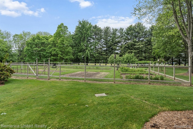 3875 Zimmer Rd, Williamston, MI 48895 - view of yard with a vegetable garden