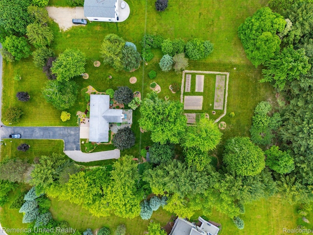 3875 Zimmer Rd, Williamston, MI 48895 - drone / aerial view