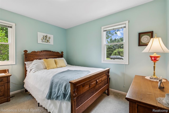 3875 Zimmer Rd, Williamston, MI 48895 - bedroom with carpet floors, multiple windows, and baseboards