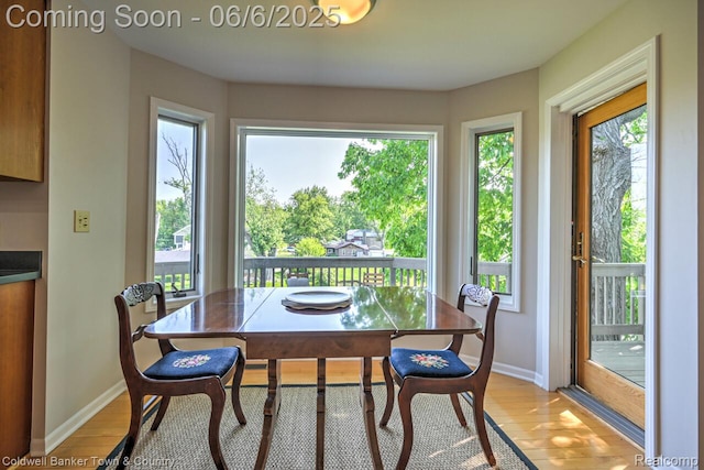 11265 N Shore Dr, Whitmore Lake, MI 48189 - dining room featuring light wood-type flooring and baseboards