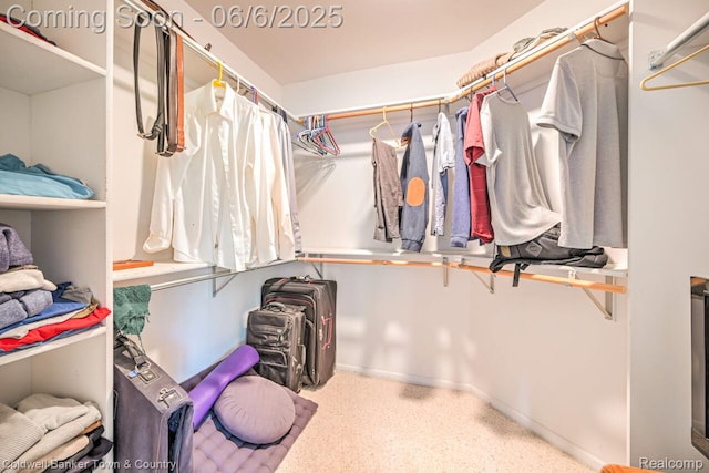 11265 N Shore Dr, Whitmore Lake, MI 48189 - view of walk in closet