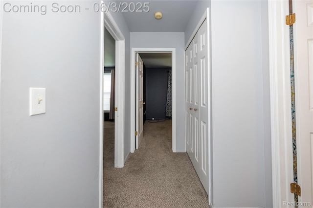 35485 Stillmeadow Ln, Clinton Township, MI 48035 - corridor with carpet flooring and baseboards