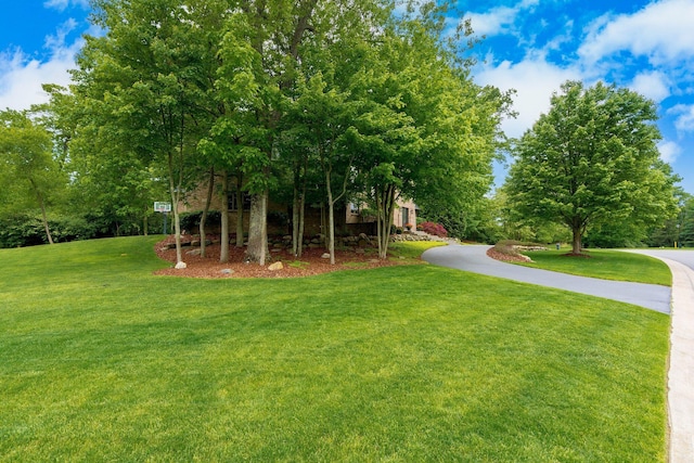 6000 Pinemont Dr, Brighton, MI 48116 - photo 4