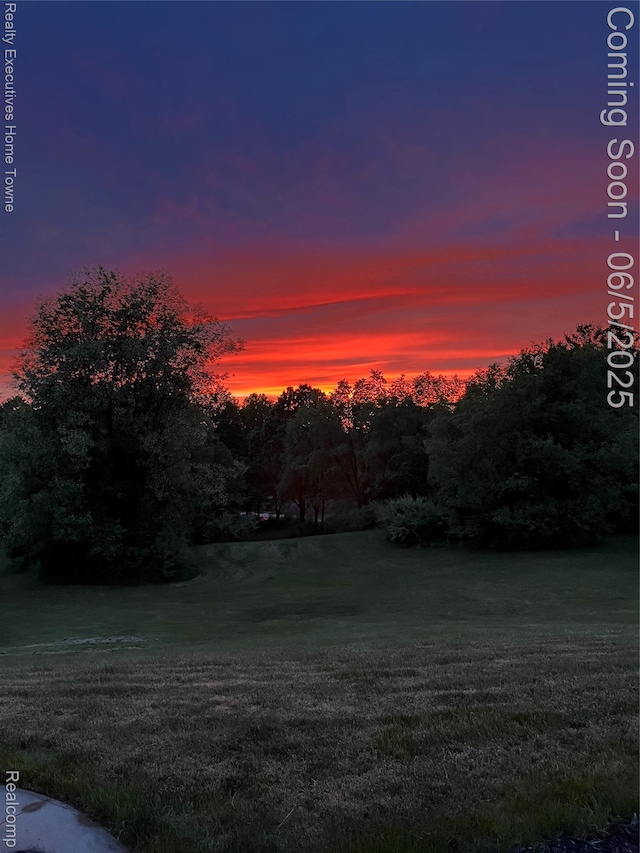 13999 French Ln, Davisburg, MI 48350 - view of grassy yard