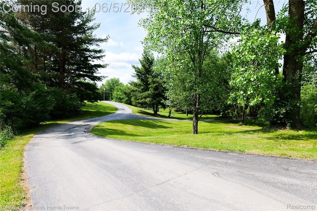 13999 French Ln, Davisburg, MI 48350 - view of asphalt road featuring view of wooded area