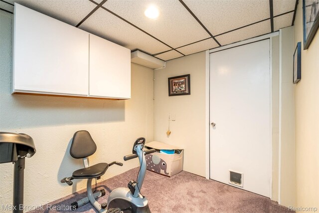 2655 Aspen Ln, Bloomfield Hills, MI 48302 - exercise room featuring carpet and a drop ceiling