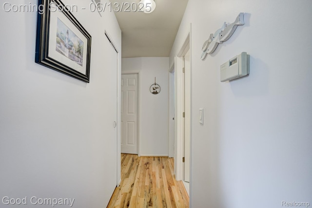 1378 Surrey Hts, Westland, MI 48186 - corridor featuring light wood finished floors
