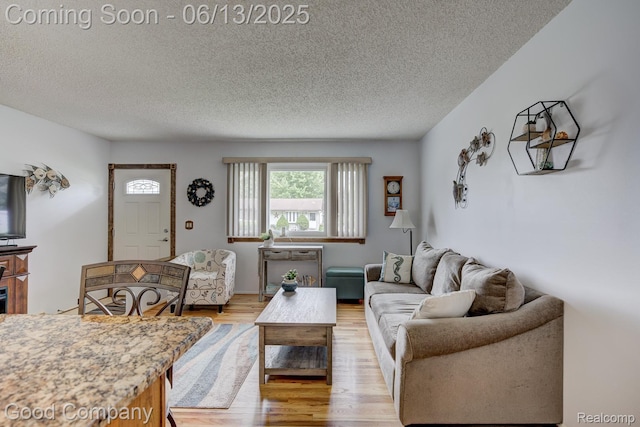 1378 Surrey Hts, Westland, MI 48186 - living area with a textured ceiling and light wood finished floors