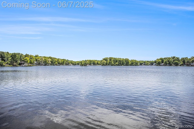 11393 Outer Dr, Pinckney, MI 48169 - water view
