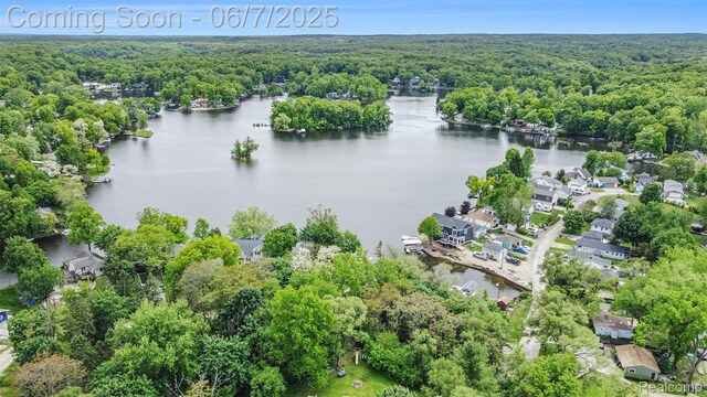 11393 Outer Dr, Pinckney, MI 48169 - bird's eye view of a forest and a nearby body of water