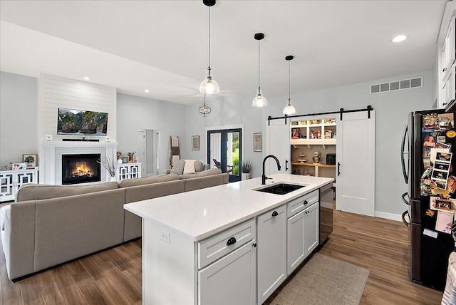 8011 Date Rd, Stevensville, MI 49127 - kitchen with appliances with stainless steel finishes, a sink, dark wood-style flooring, a fireplace, and open floor plan