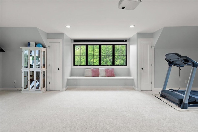 8011 Date Rd, Stevensville, MI 49127 - workout area with carpet floors, baseboards, and recessed lighting