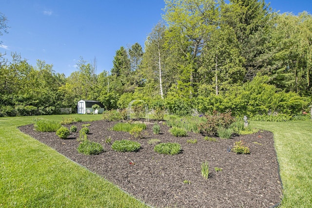 507 A Ave, South Haven, MI 49090 - view of grassy yard featuring a forest view