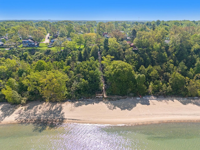 507 A Ave, South Haven, MI 49090 - aerial view of a forest and a large body of water
